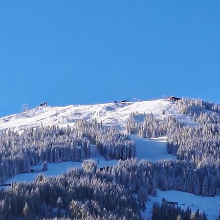 Haus Raimund " Klein Aber Fein " Apartman Alpbach Kültér fotó