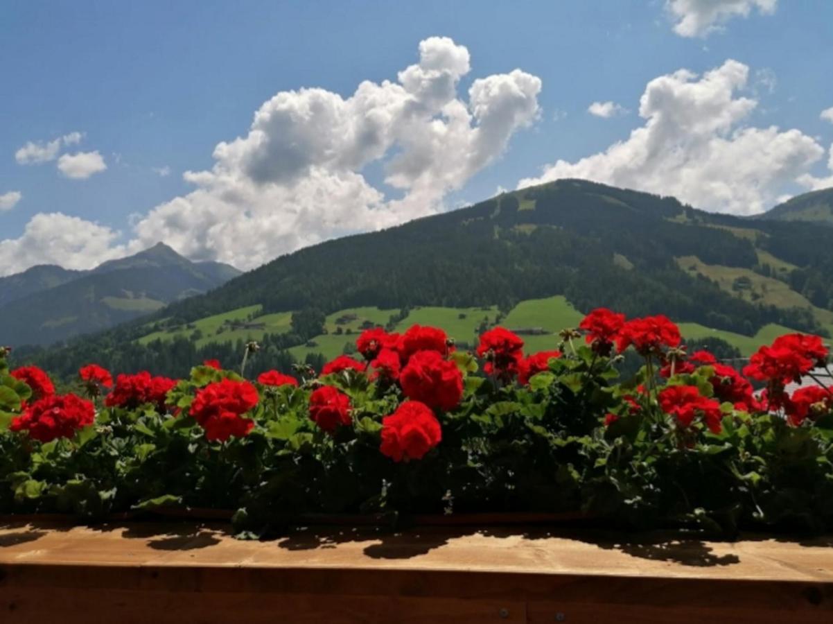 Haus Raimund " Klein Aber Fein " Apartman Alpbach Kültér fotó