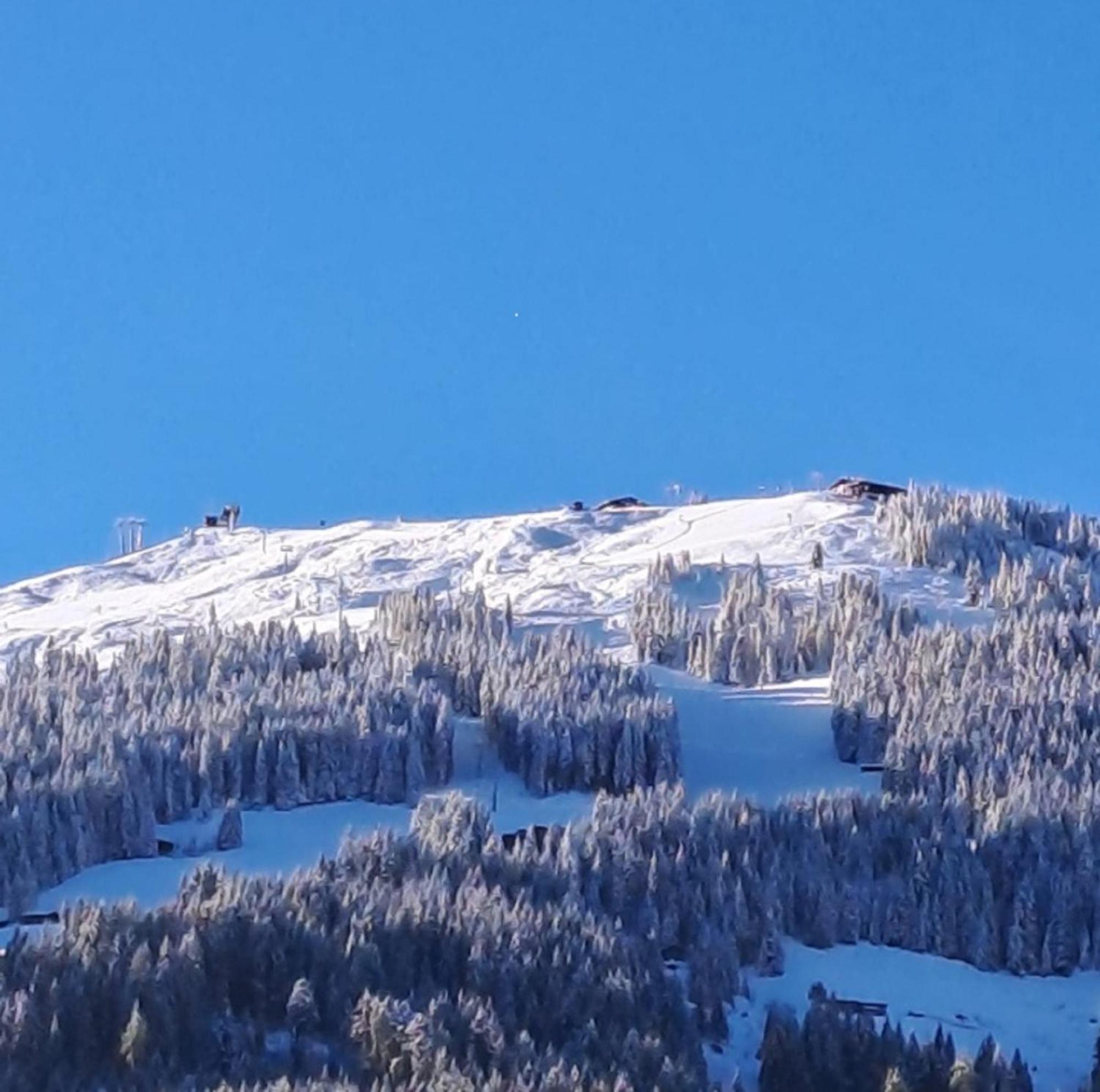 Haus Raimund " Klein Aber Fein " Apartman Alpbach Kültér fotó