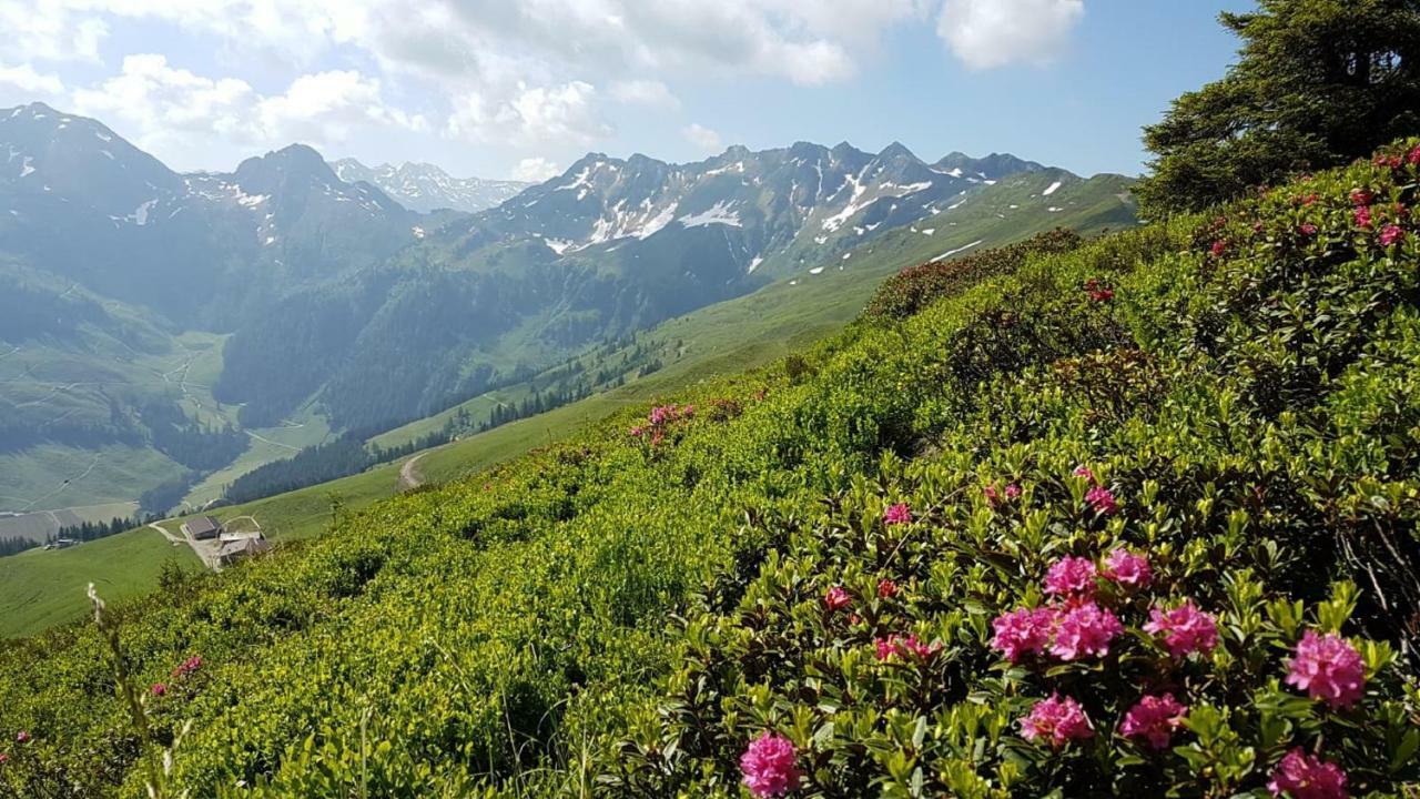 Haus Raimund " Klein Aber Fein " Apartman Alpbach Kültér fotó